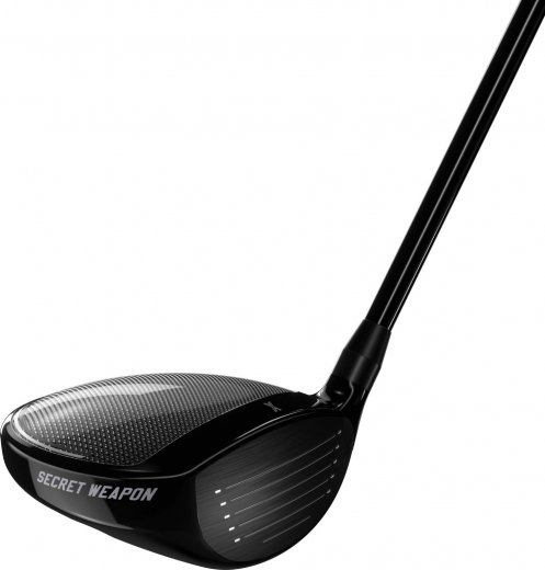 PXG Secret Weapon Mini - Driver (custom)